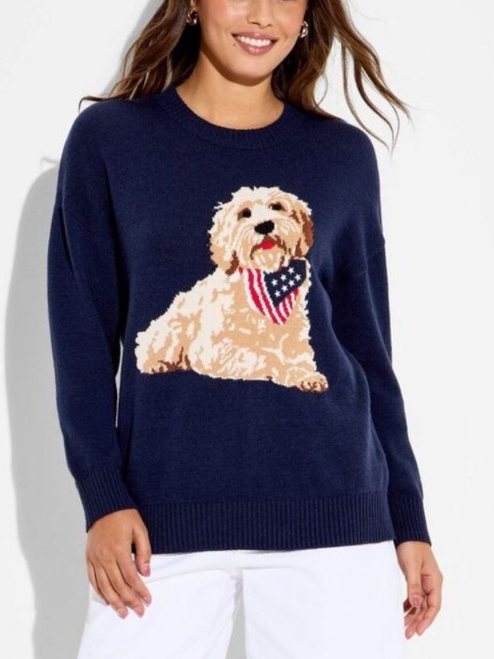 Women's Americana Dog Long Sleeve Graphic Pullover Sweater- Blue XXS